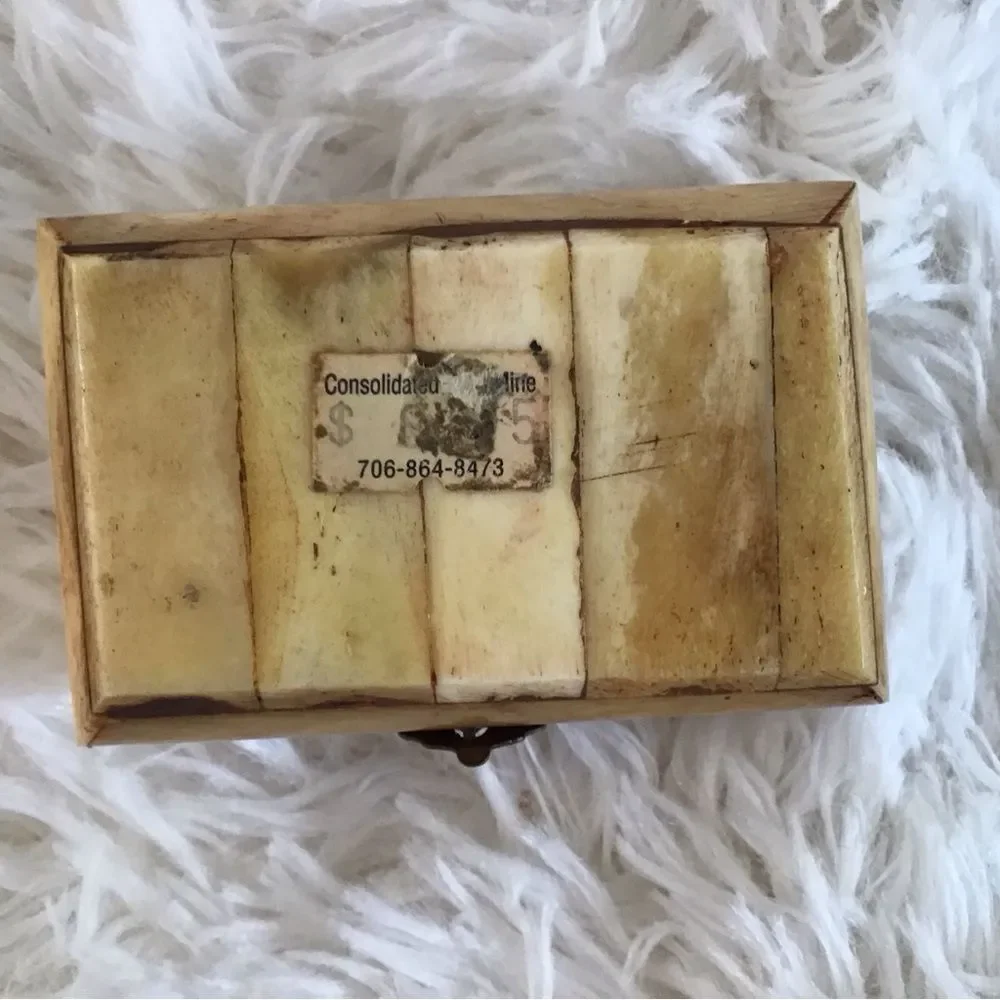 Handcrafted Trinket Box Camel Bone Brass Hinges Velvet Lined Carved Wood Top - Picture 6 of 7